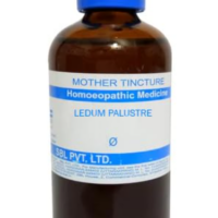 SBL Ledum Palustre Q 100 ml for wound healing and bite relief