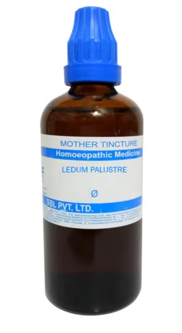 SBL Ledum Palustre Q 100 ml for wound healing and bite relief