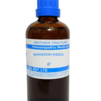 SBL Mangifera Indica Q 100 ml for digestion and circulation support
