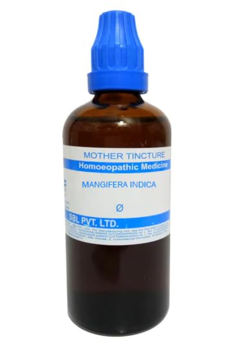 SBL Mangifera Indica Q 100 ml for digestion and circulation support