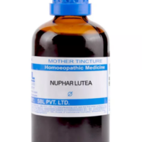 SBL Nuphar Lutea Q 100 ml for energy and vitality support