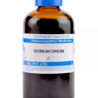 SBL Ocimum Sanctum Q 100 ml for kidney and digestive support