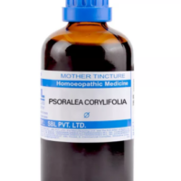 SBL Psoralea Corylifolia Q 100 ml for skin tone and pigmentation support