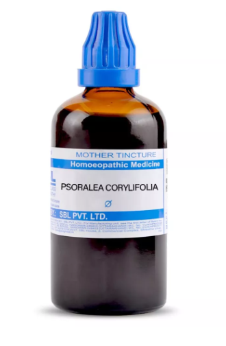 SBL Psoralea Corylifolia Q 100 ml for skin tone and pigmentation support