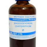 SBL Rhododendron Chrysanthum Q 100 ml for digestion and throat support