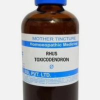 SBL Rhus Toxicodendron Q 100 ml for joint and skin support