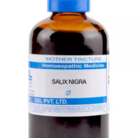 SBL Salix Nigra Q 100 ml for pain and menstrual support