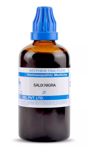 SBL Salix Nigra Q 100 ml for pain and menstrual support