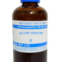 SBL Uva Ursi Q 100 ml for urinary tract and kidney support