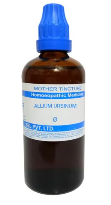 SBL Uva Ursi Q 100 ml for urinary tract and kidney support