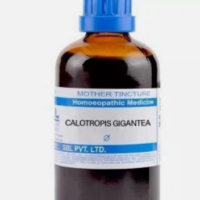 SBL Calotropis Gigantea Q 100 ml for skin and joint support