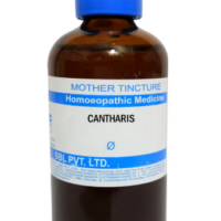 SBL Cantharis Q 100 ml for urinary and skin support