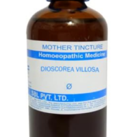SBL Dioscorea Villosa Q 100 ml for digestion and colic pain relief