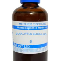 SBL Eucalyptus Globulus Q 100 ml for cold and respiratory support