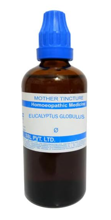 SBL Eucalyptus Globulus Q 100 ml for cold and respiratory support