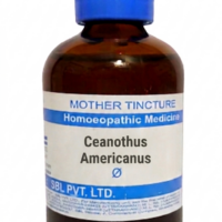 SBL Ceanothus Americanus Q 100 ml for spleen health and vitality support