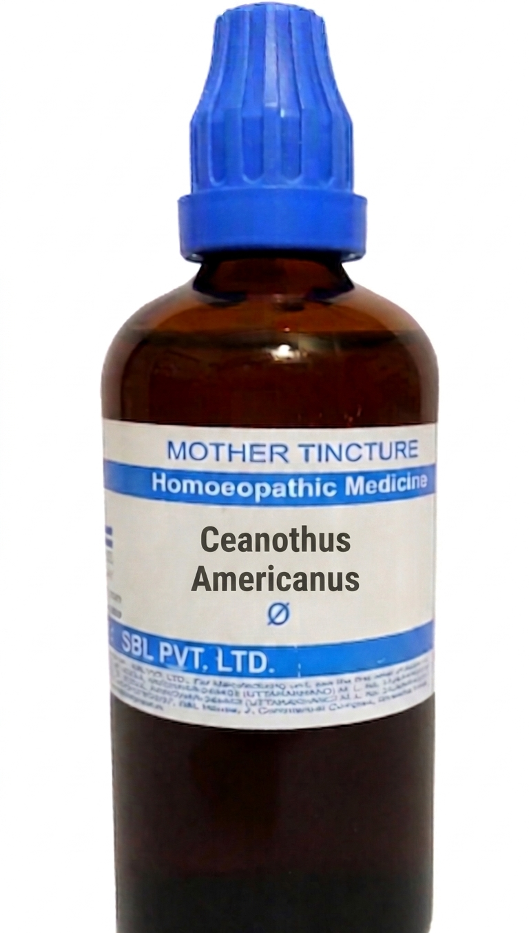 SBL Ceanothus Americanus Q 100 ml for spleen health and vitality support