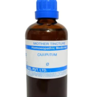 SBL Cajuputum Q 100 ml for flatulence and breathing support