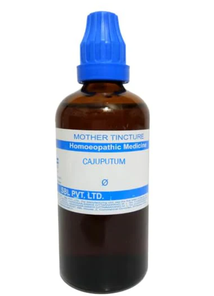 SBL Cajuputum Q 100 ml for flatulence and breathing support