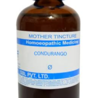 SBL Condurango Q 100 ml for digestion and vitality support