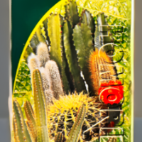 Radient HOMORID Syrup for piles, bleeding hemorrhoids, anal fissures, itching, burning and bowel health support.