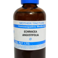 Echinacea Angustifolia Q 100 ml for respiratory comfort and immune support
