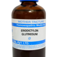 SBL Eriodictyon Glutinosum Q 100 ml for respiratory wellness and vitality support