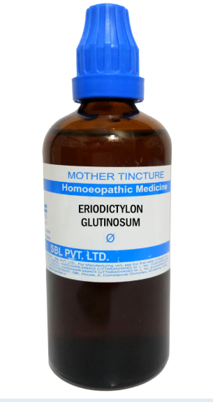 SBL Eriodictyon Glutinosum Q 100 ml for respiratory wellness and vitality support