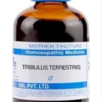 SBL Tribulus Terrestris Q 100ml homeopathic mother tincture for urinary tract and kidney health