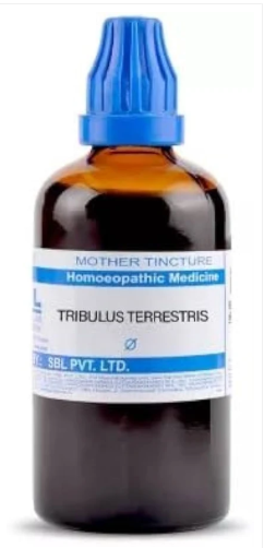 SBL Tribulus Terrestris Q 100ml homeopathic mother tincture for urinary tract and kidney health