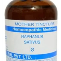 SBL Raphanus Sativus Q 100ml homeopathic mother tincture for digestive health, bloating, and abdominal gas