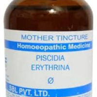 SBL Piscidia Erythrina Q 100ml Homeopathic Mother Tincture