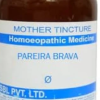 SBL Oleander Q 100ml Homeopathic Mother Tincture