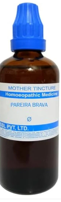 SBL Oleander Q 100ml Homeopathic Mother Tincture
