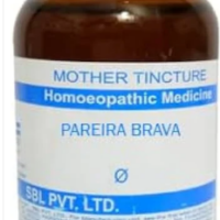 SBL Pareira Brava Q 100ml Homeopathic Mother Tincture