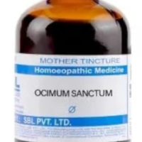 SBL Ocimum Sanctum Q 100ml Homeopathic Mother Tincture
