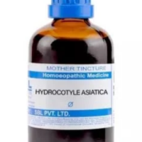 SBL Hydrocotyle Asiatica Q 100ml Homeopathic Mother Tincture