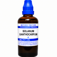 SBL Solanum Xanthocarpum Q - 100ml homeopathic mother tincture for cough, bronchial support, and respiratory health