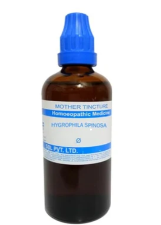 SBL Hygrophila Spinosa Q – 100ml