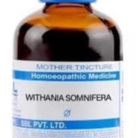 SBL Withania S Ashwagandha Q 100ml Homeopathic Mother Tincture
