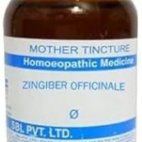 SBL Zingiber Q 100ml Homeopathic Mother Tincture
