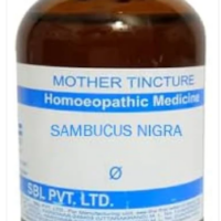 SBL Sambucus Nigra Q - 100ml homeopathic mother tincture for cough, cold, nasal congestion, and respiratory health
