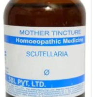 SBL Scutellaria Q - 100ml homeopathic mother tincture for nervous system support, stress relief, and restful sleep