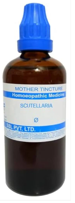 SBL Scutellaria Q - 100ml homeopathic mother tincture for nervous system support, stress relief, and restful sleep