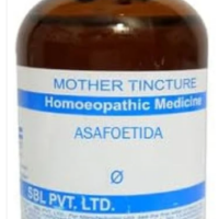 SBL Asafoetida Q - 100ml homeopathic mother tincture for digestive health, gas relief, and bloating support