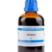 SBL Badiaga Q - 100ml homeopathic mother tincture for respiratory health, skin wellness, and glandular support
