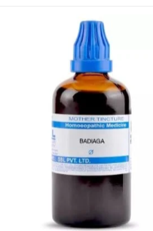 SBL Badiaga Q - 100ml homeopathic mother tincture for respiratory health, skin wellness, and glandular support