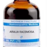 SBL Aralia Racemosa Q - 100ml homeopathic mother tincture for respiratory health, cough and allergy support
