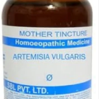 SBL Artemisia Vulgaris Q - 100ml homeopathic mother tincture for nervous system and menstrual wellness support