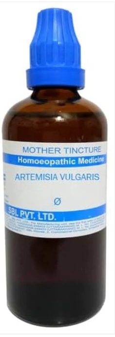 SBL Artemisia Vulgaris Q - 100ml homeopathic mother tincture for nervous system and menstrual wellness support